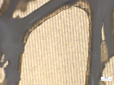 foam cell coated