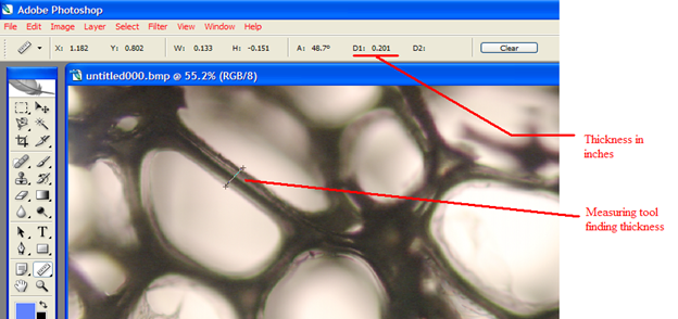 foam thickness